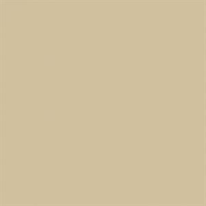 Folie Oracal 631 - 31,5 x 25 cm - 82 Beige