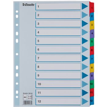 Faneblade/register Esselte Mylar A4 12 delt farvede faner