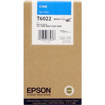 Epson Ink C13T602200 C T6022