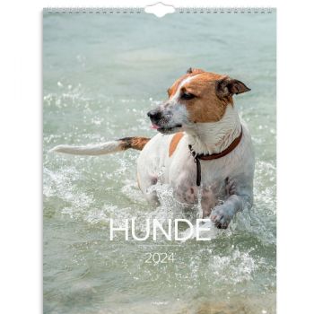 Mayland 2024 24066320 hunde vægkalender 39x29,5cm