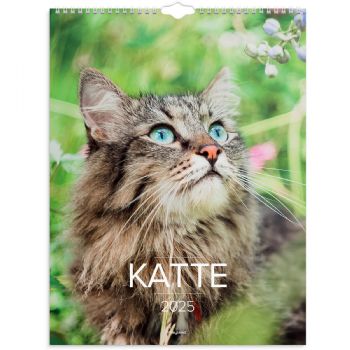 Mayland 2025 25066300 katte vægkalender 29,5x39cm