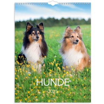 Mayland 2025 25066320 hunde vægkalender 29,5x39cm