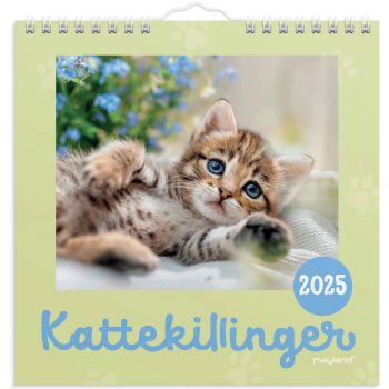 Mayland 2025 25066400 kattekillinger vægkalender 16x16,4cm